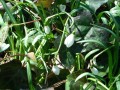 DSCN0690.JPG